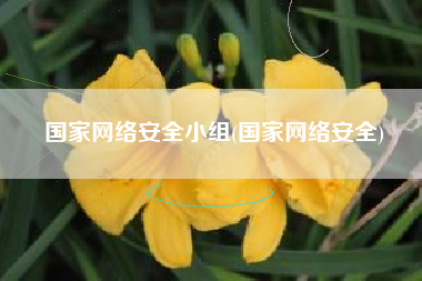 国家网络安全小组(国家网络安全)