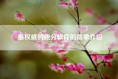 最权威的跑分软件的简单介绍