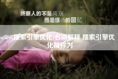 seo(搜索引擎优化)名词解释 搜索引擎优化简称为