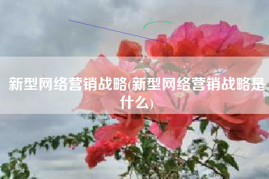 新型网络营销战略(新型网络营销战略是什么)