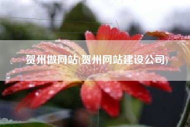 贺州做网站(贺州网站建设公司)