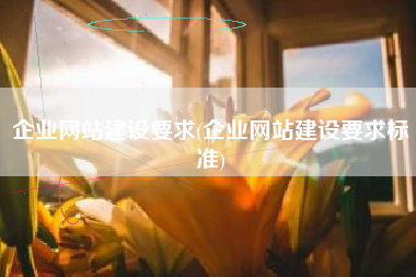 企业网站建设要求(企业网站建设要求标准)