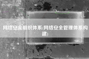 网络安全组织体系(网络安全管理体系构建)