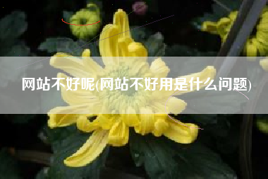 网站不好呢(网站不好用是什么问题)