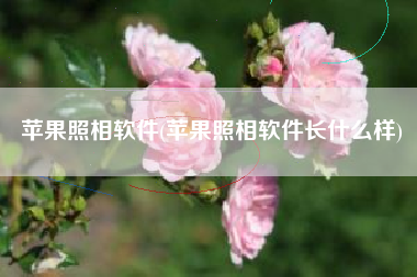 苹果照相软件(苹果照相软件长什么样)