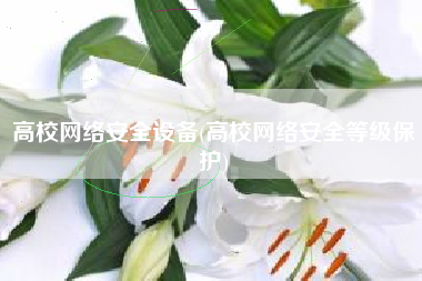 高校网络安全设备(高校网络安全等级保护)