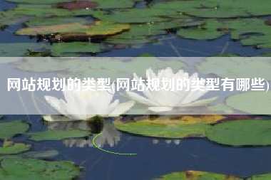 网站规划的类型(网站规划的类型有哪些)