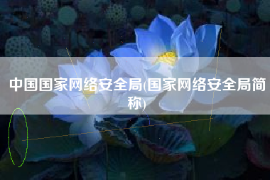 中国国家网络安全局(国家网络安全局简称)