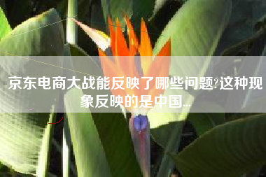 京东电商大战能反映了哪些问题?这种现象反映的是中国...