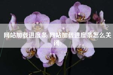 网站加载进度条(网站加载进度条怎么关闭)
