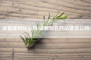 成都建网站公司(成都知名网站建设公司)