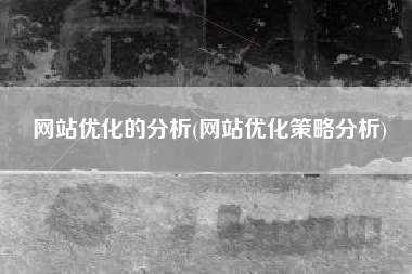 网站优化的分析(网站优化策略分析)