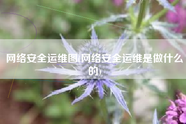 网络安全运维图(网络安全运维是做什么的)