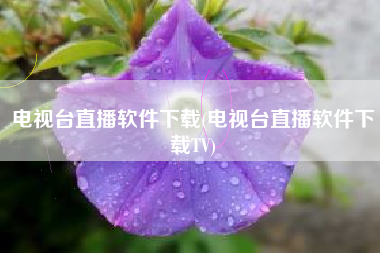 电视台直播软件下载(电视台直播软件下载TV)