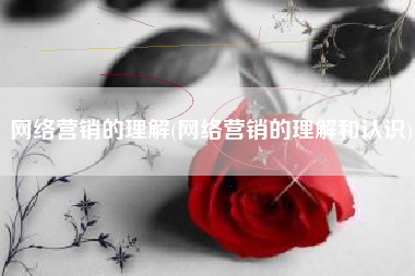 网络营销的理解(网络营销的理解和认识)