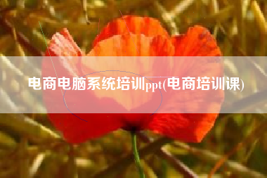 电商电脑系统培训ppt(电商培训课)