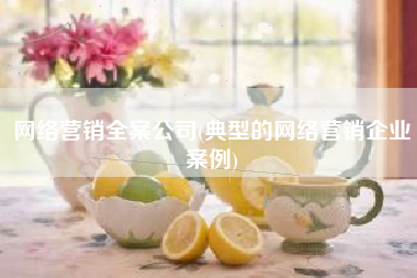网络营销全案公司(典型的网络营销企业案例)