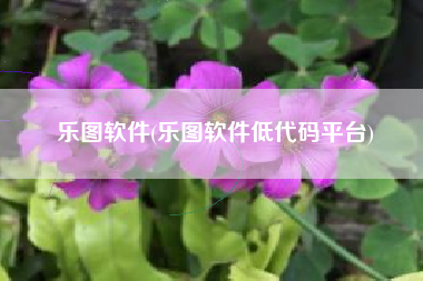 乐图软件(乐图软件低代码平台)