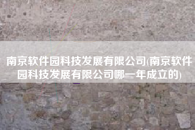 南京软件园科技发展有限公司(南京软件园科技发展有限公司哪一年成立的)