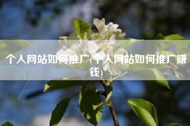 个人网站如何推广(个人网站如何推广赚钱)