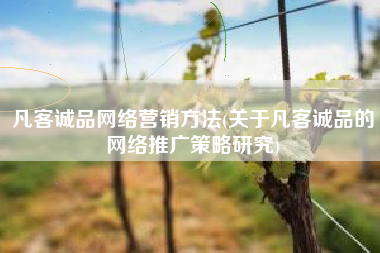 凡客诚品网络营销方法(关于凡客诚品的网络推广策略研究)