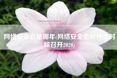 网络安全会是哪年(网络安全会议什么时候召开2020)