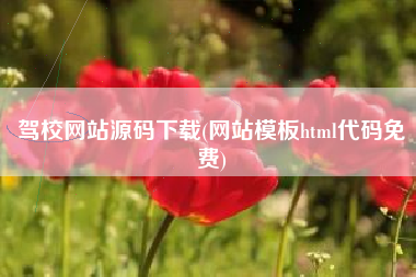 驾校网站源码下载(网站模板html代码免费)