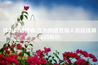 作为网络营销(作为网络营销人员应该具备的知识)