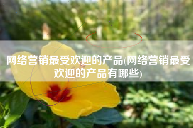 网络营销最受欢迎的产品(网络营销最受欢迎的产品有哪些)