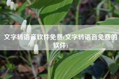 文字转语音软件免费(文字转语音免费的软件)