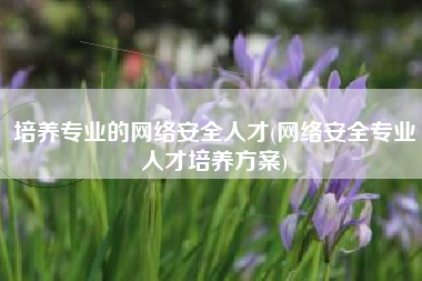 培养专业的网络安全人才(网络安全专业人才培养方案)