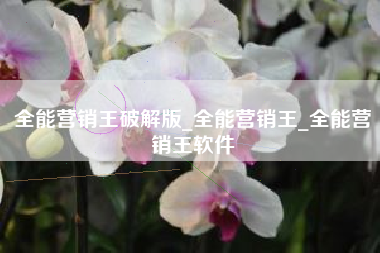 全能营销王破解版_全能营销王_全能营销王软件