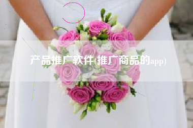 产品推广软件(推广商品的app)