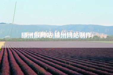 滕州做网站(滕州网站制作)