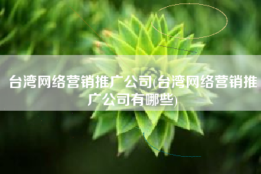 台湾网络营销推广公司(台湾网络营销推广公司有哪些)