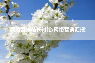 网络营销站长讨论(网络营销汇报)