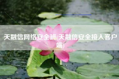 天融信网络安全班(天融信安全接入客户端)