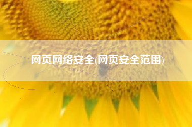 网页网络安全(网页安全范围)