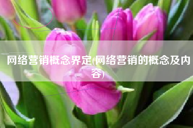 网络营销概念界定(网络营销的概念及内容)