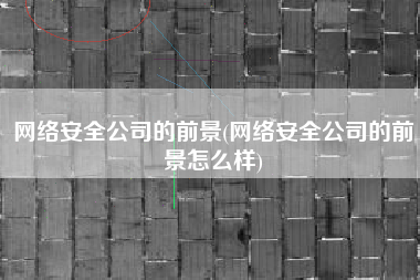 网络安全公司的前景(网络安全公司的前景怎么样)