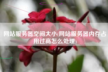 网站服务器空间大小(网站服务器内存占用过高怎么处理)