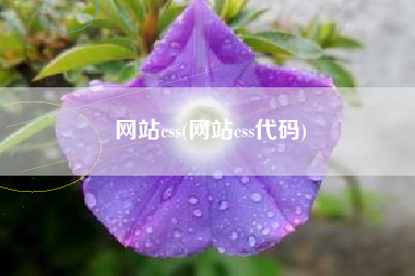 网站css(网站css代码)