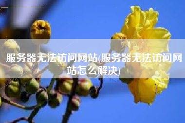 服务器无法访问网站(服务器无法访问网站怎么解决)