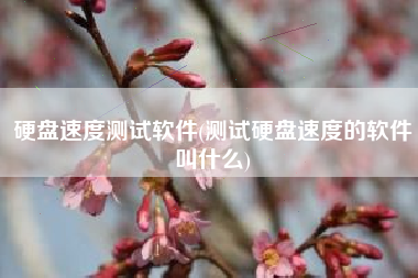 硬盘速度测试软件(测试硬盘速度的软件叫什么)