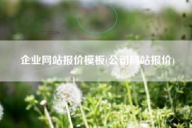 企业网站报价模板(公司网站报价)