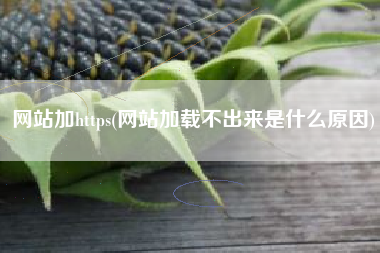 网站加https(网站加载不出来是什么原因)