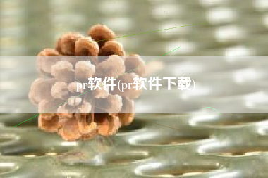 pr软件(pr软件下载)