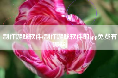 制作游戏软件(制作游戏软件的app免费有哪些)