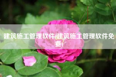 建筑施工管理软件(建筑施工管理软件免费)