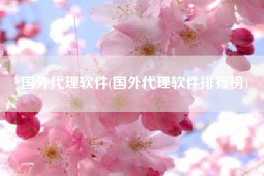 国外代理软件(国外代理软件排行榜)